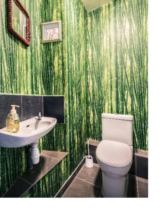 Duplex Sous Les Toits Apartment Palau-del-Vidre Luaran gambar
